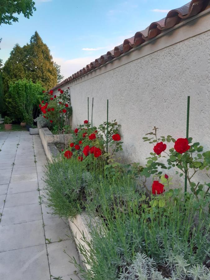 Le Mas Des Flaneraies Bed & Breakfast Althen-des-Paluds Dış mekan fotoğraf